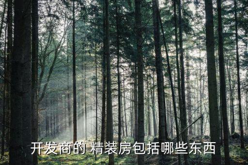 開發(fā)商的 精裝房包括哪些東西