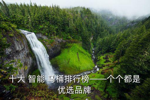 品牌智能馬桶衛(wèi)浴店鋪名字,佛山智能馬桶品牌衛(wèi)浴廠家電話