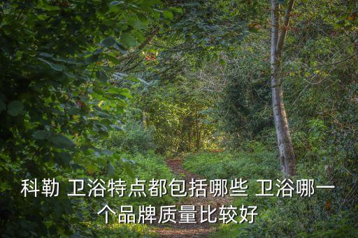 衛(wèi)浴品牌各有什么特點(diǎn),riifo什么衛(wèi)浴品牌