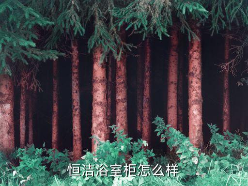 恒潔衛(wèi)浴歐式風(fēng)格圖片大全,歐式風(fēng)格外墻裝修效果圖片大全