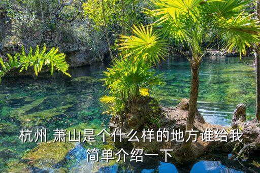 杭州蕭山多樂衛(wèi)浴店地址