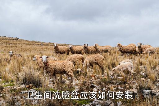 衛(wèi)生間洗臉盆應(yīng)該如何安裝