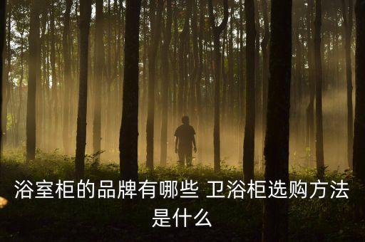 浴室柜的品牌有哪些 衛(wèi)浴柜選購方法是什么
