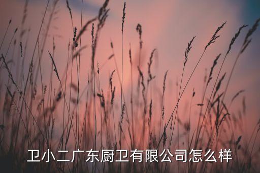 衛(wèi)小二廣東廚衛(wèi)有限公司怎么樣