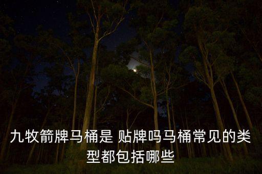 九牧箭牌馬桶是 貼牌嗎馬桶常見的類型都包括哪些