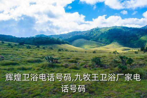 濟南輝煌衛(wèi)浴電話號碼,九牧王衛(wèi)浴廠家電話號碼