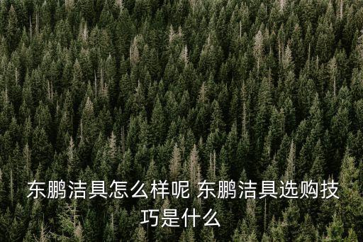  東鵬潔具怎么樣呢 東鵬潔具選購技巧是什么