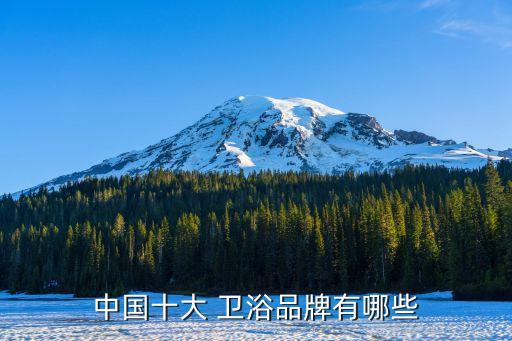 中國十大 衛(wèi)浴品牌有哪些