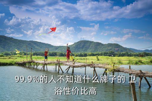 99.9%的人不知道什么牌子的 衛(wèi)浴性價比高