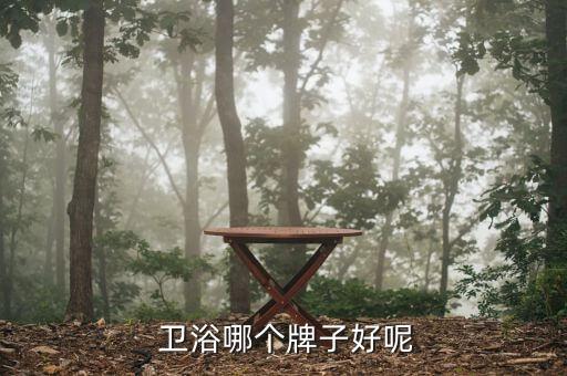 什么衛(wèi)浴品牌比較好又實惠,家裝衛(wèi)浴哪個品牌比較好