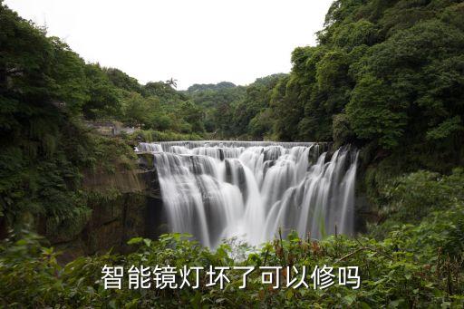 智能鏡燈壞了可以修嗎