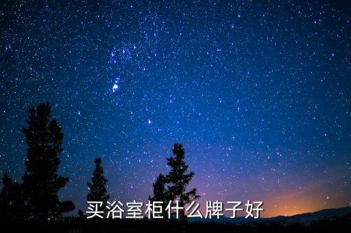 買浴室柜什么牌子好