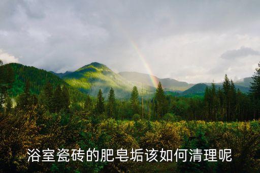 浴室瓷磚的肥皂垢該如何清理呢