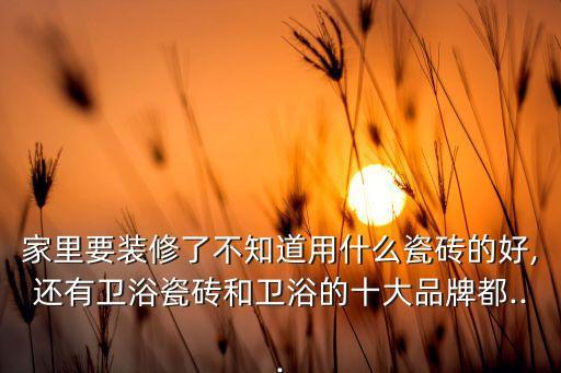 家里要裝修了不知道用什么瓷磚的好,還有衛(wèi)浴瓷磚和衛(wèi)浴的十大品牌都...