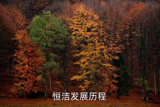 恒潔發(fā)展歷程
