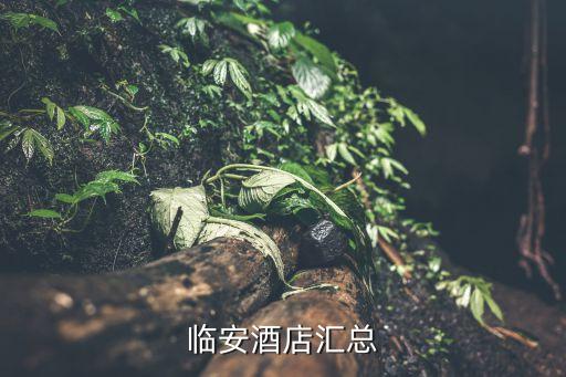 臨安酒店匯總