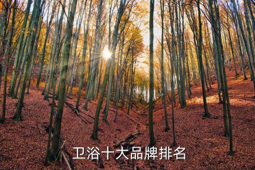  衛(wèi)浴十大品牌排名