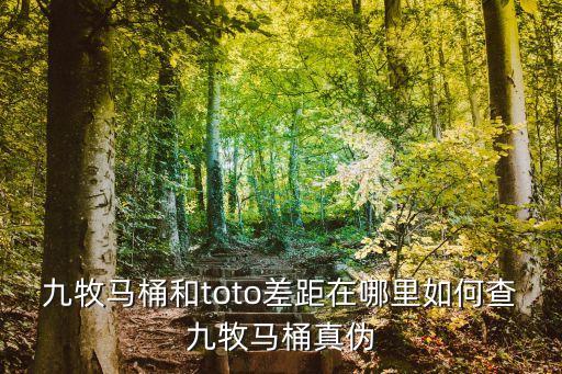 九牧馬桶和toto差距在哪里如何查九牧馬桶真?zhèn)? class=