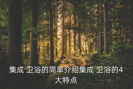 集成 衛(wèi)浴的簡(jiǎn)單介紹集成 衛(wèi)浴的4大特點(diǎn)