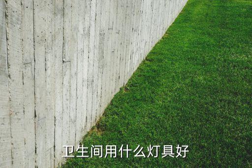 衛(wèi)浴燈光推薦牌子圖片大全