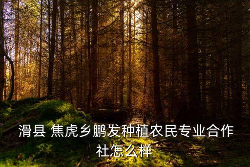 滑縣焦虎燈飾衛(wèi)浴店地址