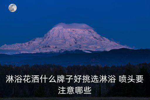 強(qiáng)力衛(wèi)浴噴頭價(jià)格表及圖片