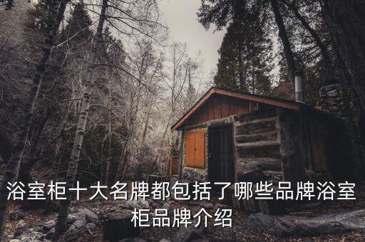 浴室柜十大名牌都包括了哪些品牌浴室柜品牌介紹