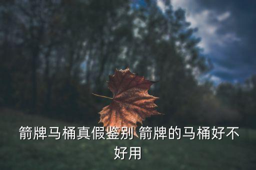  箭牌馬桶真假鑒別 箭牌的馬桶好不好用