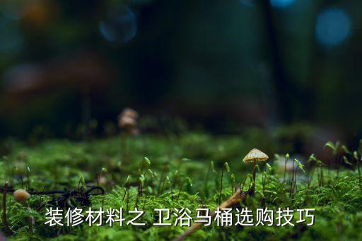 裝修材料之 衛(wèi)浴馬桶選購(gòu)技巧