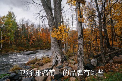  衛(wèi)浴 排名前十的品牌有哪些