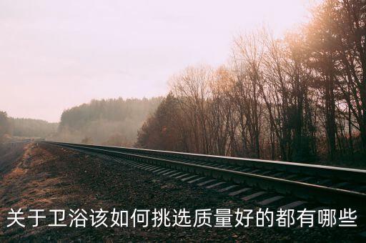 賽唯雅衛(wèi)浴座便蓋配件
