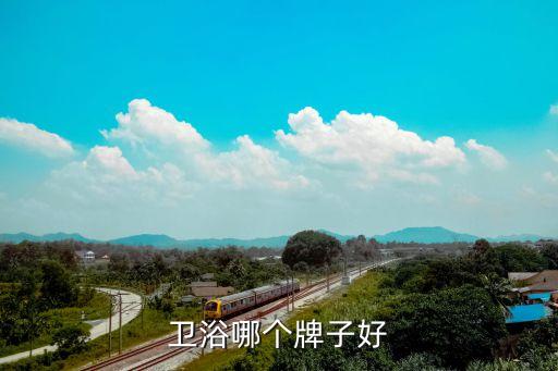 衛(wèi)浴門什么品牌,衛(wèi)浴隔斷門品牌