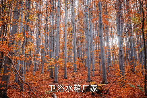 衛(wèi)浴水箱廠家