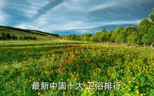全國(guó)五金衛(wèi)浴品牌排行榜,十大五金衛(wèi)浴掛件品牌