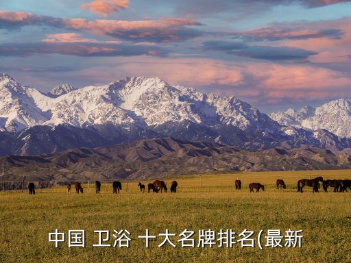 中國 衛(wèi)浴 十大名牌排名(最新