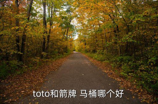 馬桶衛(wèi)浴推薦型號(hào)圖片,安華衛(wèi)浴馬桶型號(hào)從哪里看