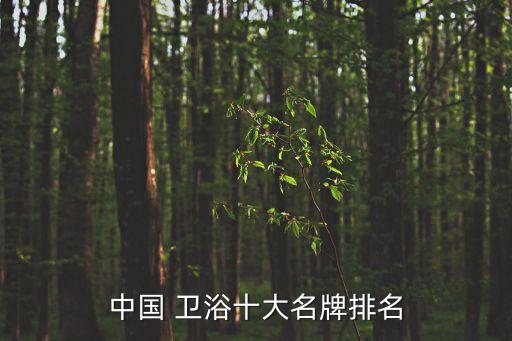 中國 衛(wèi)浴十大名牌排名