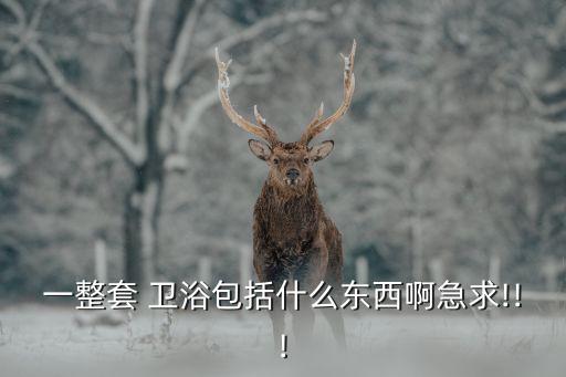 一整套 衛(wèi)浴包括什么東西啊急求!!!