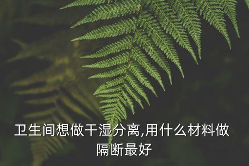 整體衛(wèi)浴能做隔斷嗎圖片