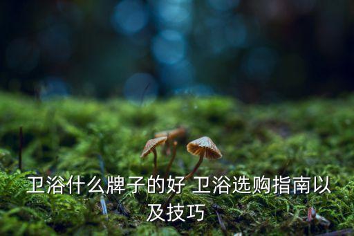 衛(wèi)浴什么牌子的好 衛(wèi)浴選購(gòu)指南以及技巧