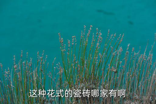 這種花式的瓷磚哪家有啊