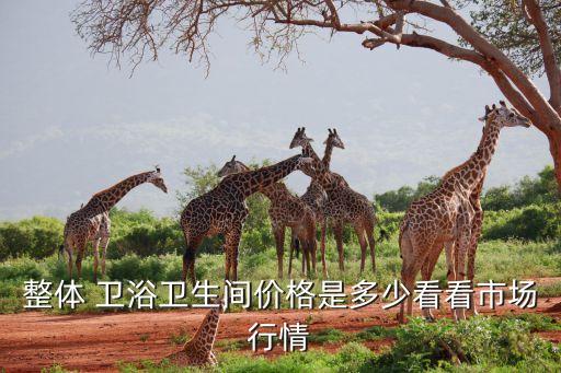 巖板懸浮衛(wèi)浴圖片及價(jià)格,衛(wèi)浴巖板圖片大全