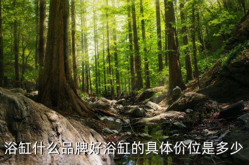 浴缸什么品牌好浴缸的具體價(jià)位是多少