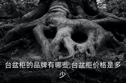 臺(tái)盆柜的品牌有哪些,臺(tái)盆柜價(jià)格是多少