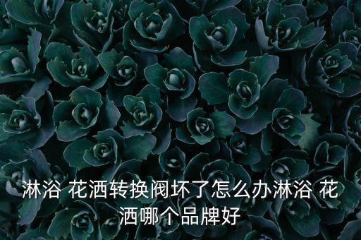 淋浴 花灑轉(zhuǎn)換閥壞了怎么辦淋浴 花灑哪個(gè)品牌好