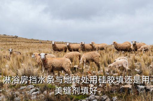 淋浴房擋水條與地磚處用硅膠填還是用美縫劑填好