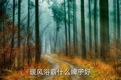 tcl衛(wèi)浴,TCL衛(wèi)浴