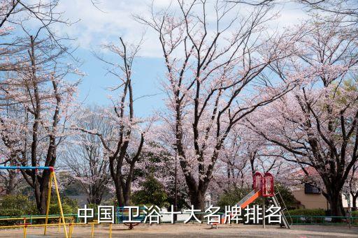 中國 衛(wèi)浴十大名牌排名