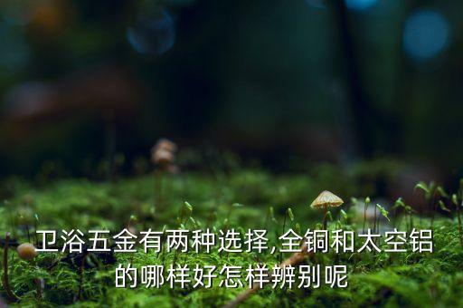  衛(wèi)浴五金有兩種選擇,全銅和太空鋁的哪樣好怎樣辨別呢