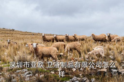 深圳衛(wèi)浴賣場招聘電話